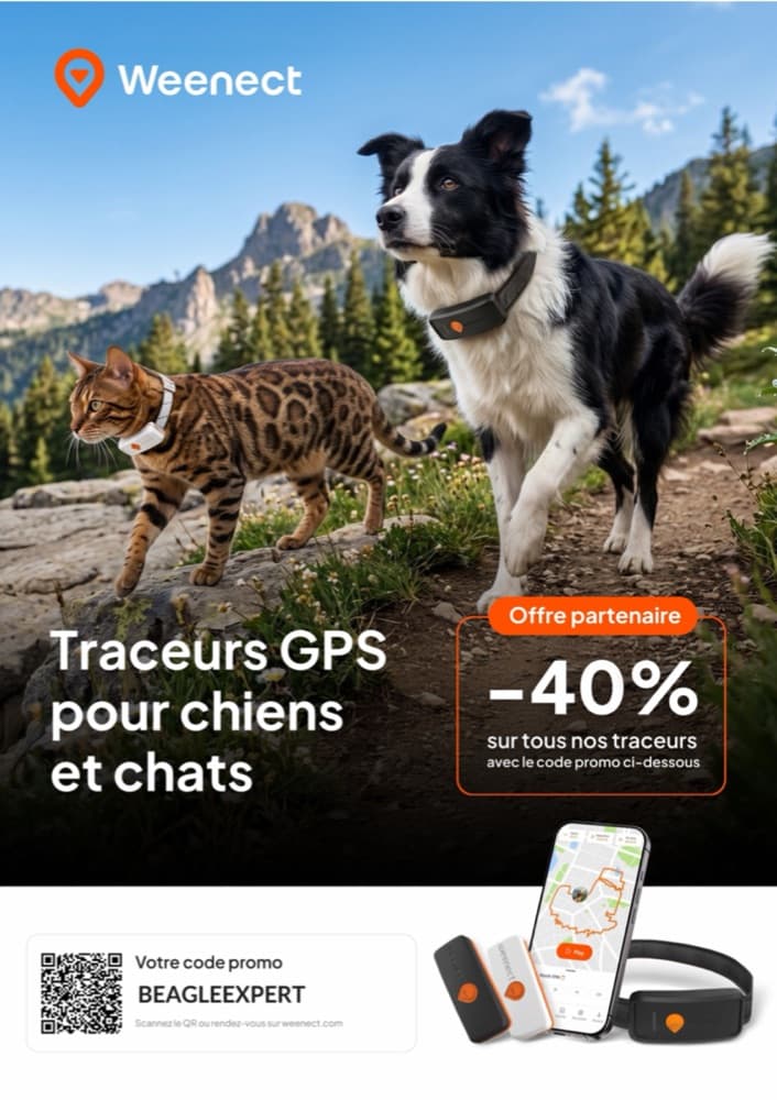 Affiche Weenect partenaire Beagle Expert : −40 % avec le code BEAGLEEXPERT et QR code d’affiliation